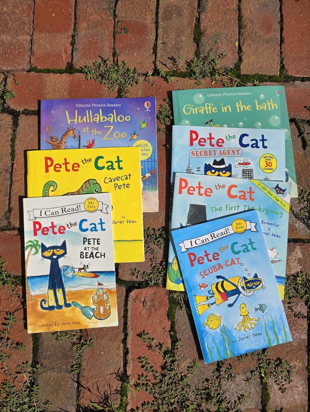 Pete the Cat Kids Book Set Learn To Read Lift The Flap Sticker Books Rhyme